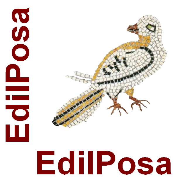 EDILPOSA di Vezzoni Maurizio Castel Goffredo (Mantova)